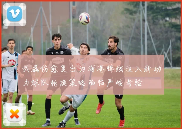 武磊伤愈复出为海港锋线注入新动力球队轮换策略面临严峻考验