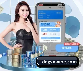 专业赛事服务, 为你而来