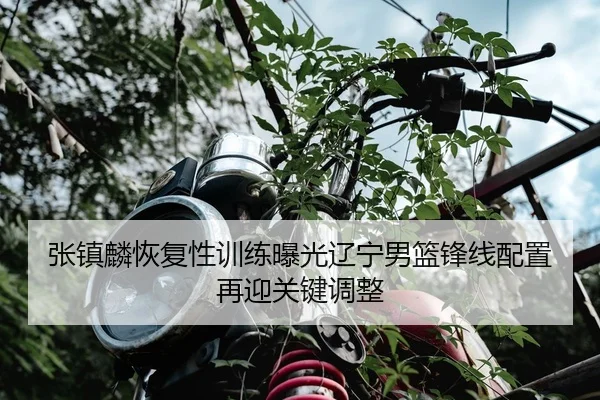 张镇麟恢复性训练曝光辽宁男篮锋线配置再迎关键调整